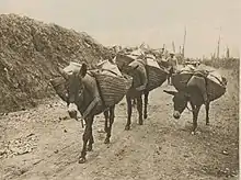 Ânes portant des paniers et marchant.