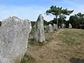 Le cromlech de Crucuno : vue partielle.