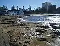 Cronulla Beach.