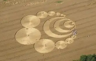 Photographie prise depuis un avion d'un champ de blé dans lequel se trouvent des cercles de culture.