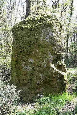 Image illustrative de l’article Menhir du Bois Hoël