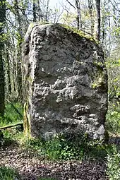 Menhir du Bois Hoel