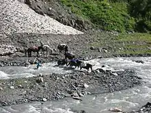 photo montrant des chevaux chargés de sacs passant le gué d'une rivière