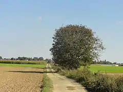 Chemin rural à l'ouest du village.