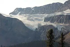 Vue du glacier Crowfoot.