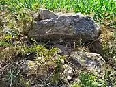 Dolmen de Keradiguen