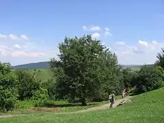 Dans le massif du Cserhát près de Hollókő