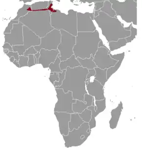 Description de l'image Ctenodactylus_gundi_range_map.png.