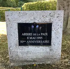 La plaque de l'arbre de la paix.