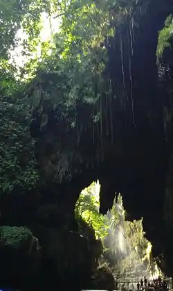 Vue du canyon.