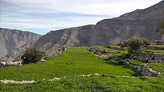 Terrasses de culture dans la partie supérieure du Wadi Barut - Barut Village. Ras el Khaïmah. Émirats arabes unis