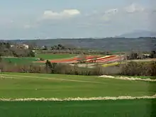 Les champs de fleurs forment de grandes bandes de couleurs vives.