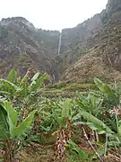 Jardins et plantations de bananes.