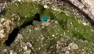 Smithsonite (vert), aurichalcite (bleu), hémimorphite (incolore) Ojuela, Mexique.