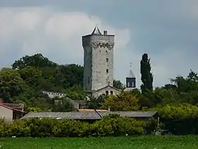 Donjon de Curçay-sur-Dive