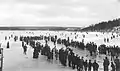 Groupe de joueurs pratiquant le curling sur un lac à Dartmouth, en Nouvelle-Écosse (Canada), vers 1897.