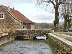 Petit pont sur la Goulue.