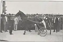 Photo noir et blanc d'hommes regardant un cheval et son driver