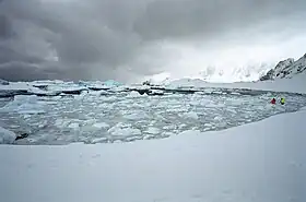 L'île de Cuverville durant l'été austral (janvier 2001)