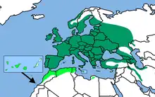 Carte de répartition des espèces Cyanistes caeruleus (en vert foncé en Europe et Moyen-Orient) et Cyanistes teneriffae (en vert clair aux Iles Canaries, en Afrique du Nord et à Pantelleria).