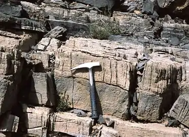 Cycles émersifs de comblement et/ou de régression (allocycles ?) encadrés par des lacunes, sur la plate-forme carbonatée arabique. En jaune : laminations algaires dolomitisées. Lias du Musandam, Oman.