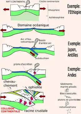 Schéma montrant : rift continental, domaine océanique, arc insulaire volcanique, cordillère avec prisme d'accrétion, collision continentale.
