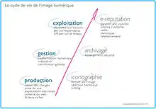  Le cycle de l'image numérique