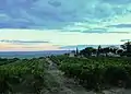 Paysage du massif de la Trévaresse à Rognes.