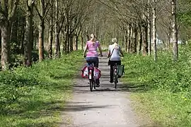 Photographie représentant deux cyclistes sur un chemin bordé d'arbres.