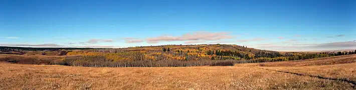 Panorama des collines Cypress.