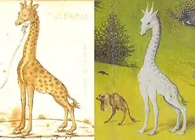 Deux girafes dans des attitudes très proches