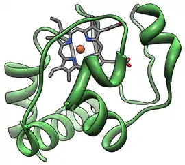 Image illustrative de l’article Cytochrome c