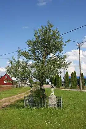 Czeremcha-Wieś