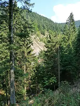 Éboulis glaciaires dans le défilé de Straiture