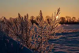 Givre vers Dülmen, Allemagne. Février 2021.