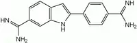 Image illustrative de l’article DAPI