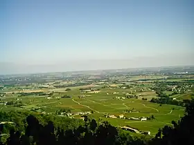 Paysage du Beaujolais et ses vignes.