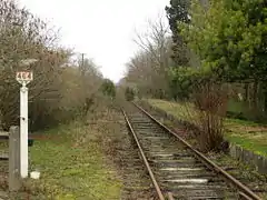 Vue sur la voie avec rails doubles champignons et Vignole à la gare de Saffré - Joué, en 2009, avant le début des travaux pour la réouverture.