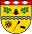 Blason de Dickendorf