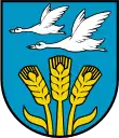 Blason de Manschnow