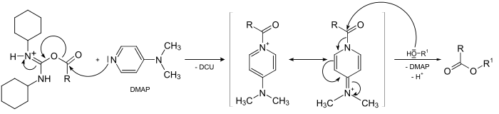 Action of DMAP in the Steglich esterfication