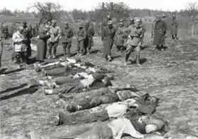 Image illustrative de l’article Massacre de Domenikon