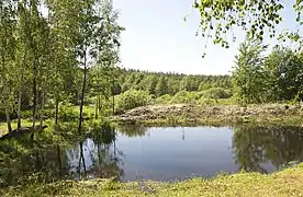 parc régional de Mijirtchinski à Otroky, classé,