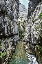 La rivière dans les gorges.