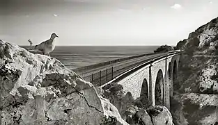 Niolon, vers le sentier de la Côte Bleue.