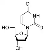 Image illustrative de l’article Désoxyuridine