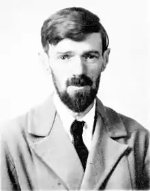 Description de l'image D H Lawrence passport photograph.jpg.