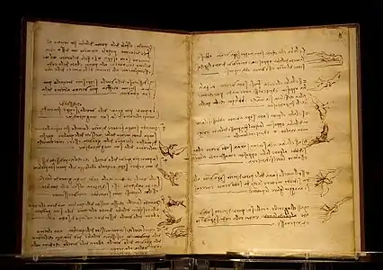 2 pages manuscrites comprenant de nombreuses notes et des dessins d'oiseau en plein vol.