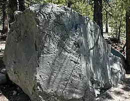 Hot Rock, bombe volcanique projetée par une explosion du pic Lassen (Californie) pendant ses éruptions de 1914-1917.