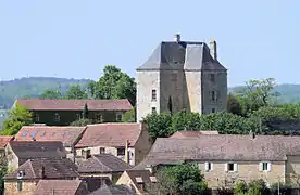 Le château du Peyruzel.